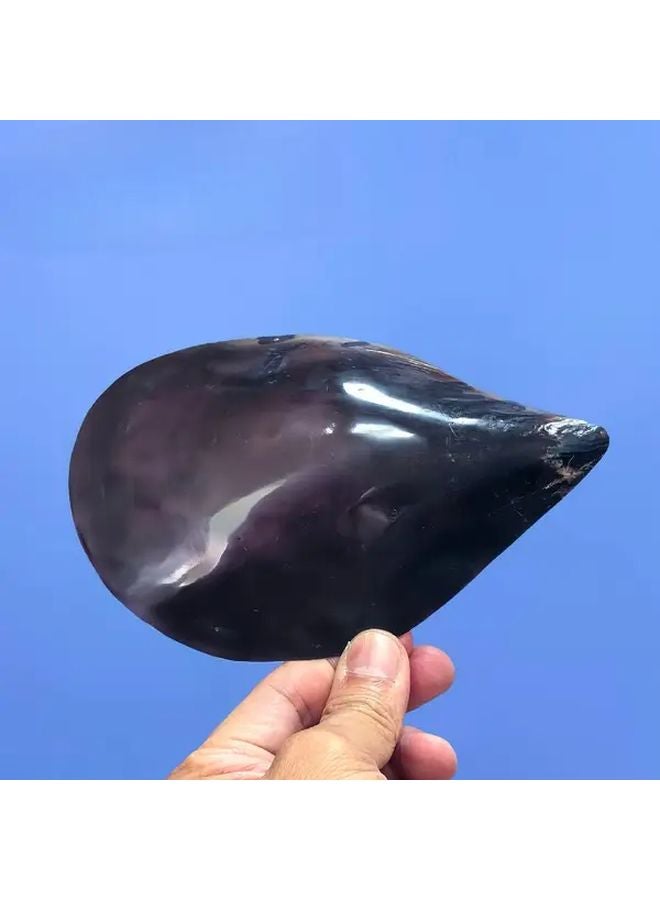 قوقعة بقرة كبيرة ملونة بالحبر، ديكور حوض أسماك على الطراز المتوسطي مصنوع يدويًا - Image 3